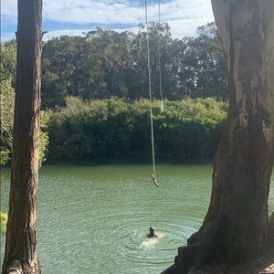 Meet your Posher, Bo